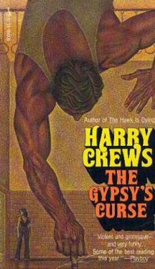 The Gypsy's Curse