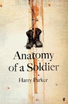 Anatomy of a Soldier