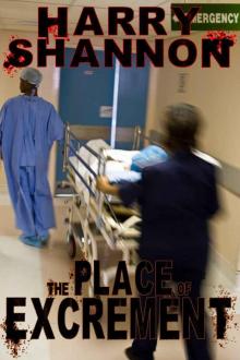 The Place of Excrement The Place of Excrement