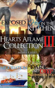 Hearts Aflame Collection III: 4-Book Bundle Hearts Aflame Collection III: 4-Book Bundle