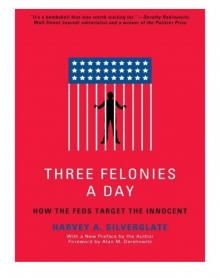 Three Felonies a Day