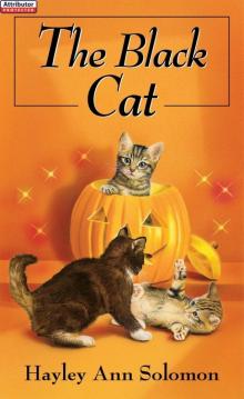 The Black Cat The Black Cat