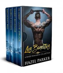 Los Banditos: A Biker Romance Collection