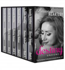 Destiny Undone: The Complete Series Box Set