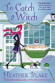 To Catch a Witch_A Wishcraft Mystery To Catch a Witch_A Wishcraft Mystery
