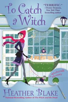 To Catch a Witch To Catch a Witch