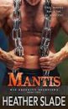 Mantis (K19 Security Solutions Book 4) Mantis (K19 Security Solutions Book 4)