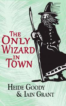 The Only Wizard in Town