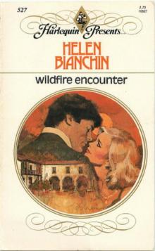 Wildfire Encounter Wildfire Encounter