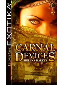 CarnalDevices CarnalDevices