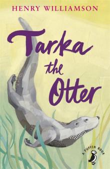 Tarka the Otter Tarka the Otter