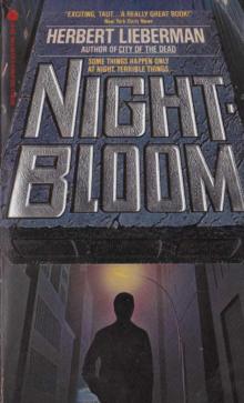 Night-Bloom Night-Bloom