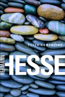Peter Camenzind Peter Camenzind