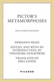 Pictor's Metamorphoses