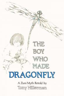The Boy Who Made Dragonfly