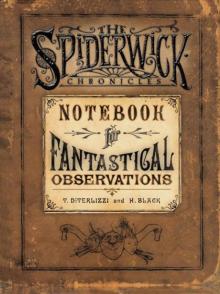 Notebook for Fantastical Observations