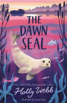 The Dawn Seal The Dawn Seal