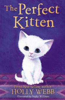 The Perfect Kitten The Perfect Kitten