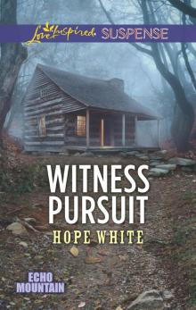 Witness Pursuit Witness Pursuit