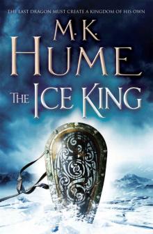 The Ice King The Ice King