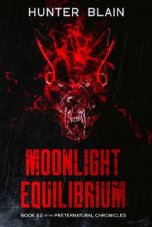 Moonlight Equilibrium: Book 3.5 of the 