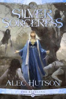 The Silver Sorceress The Silver Sorceress