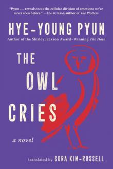 The Owl Cries The Owl Cries