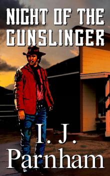 Night of the Gunslinger Night of the Gunslinger
