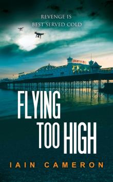 Flying Too High (DI Angus Henderson 12)