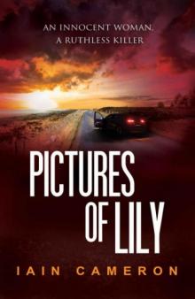 Pictures of Lily: (DI Angus Henderson 11)