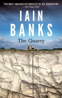 The Quarry The Quarry
