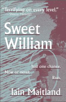 Sweet William