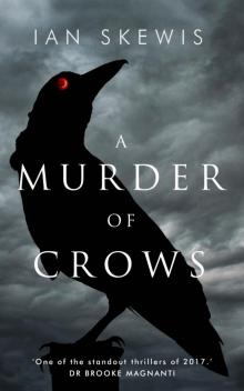 A Murder of Crows A Murder of Crows