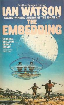 The Embedding The Embedding