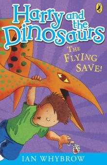 the Flying Save! the Flying Save!