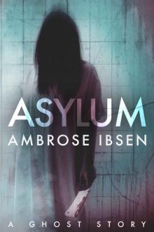 Asylum: The Afterlife investigations #1 Asylum: The Afterlife investigations #1
