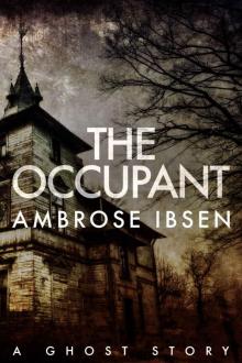 The Occupant: The Afterlife Investigations #3 The Occupant: The Afterlife Investigations #3