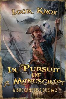 In Pursuit of a Manuscript (A Buccaneer's Due Book #2): LitRPG Series