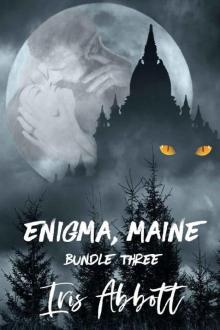 Enigma, Maine, Bundle Three Enigma, Maine, Bundle Three