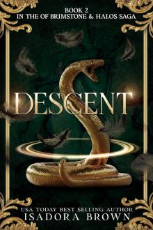 Descent Descent