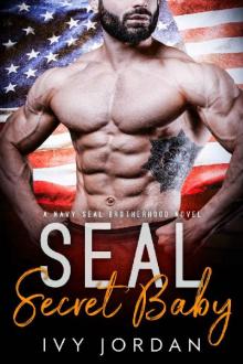 SEAL's Secret Baby (A Navy SEAL Romance)