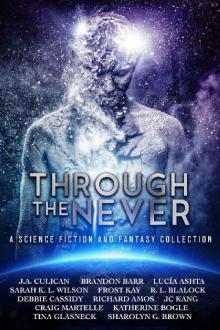 Through the Never: a Science Fiction and Fantasy Collection Through the Never: a Science Fiction and Fantasy Collection