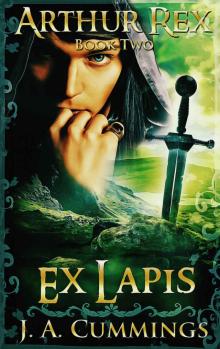 Ex Lapis Ex Lapis