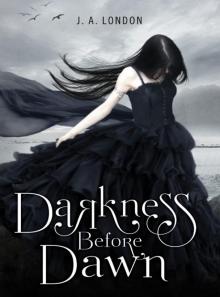 Darkness Before Dawn (Darkness Before Dawn - Trilogy)