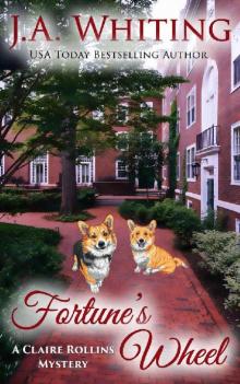 Fortune's Wheel Fortune's Wheel