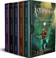 Aster Wood series Box Set