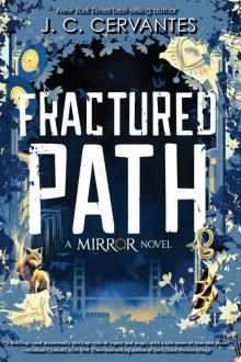 The Mirror Fractured Path