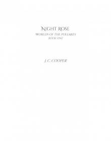 Night Rose Night Rose