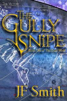 The Gully Snipe (The Dual World Book 1) The Gully Snipe (The Dual World Book 1)