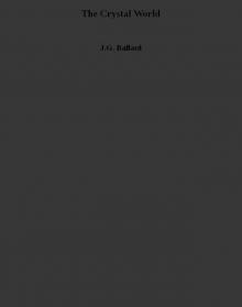 The Crystal World
